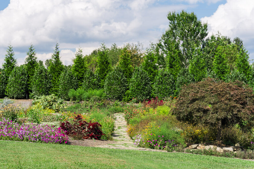 The Farm A Gathering Place butterfly garden
