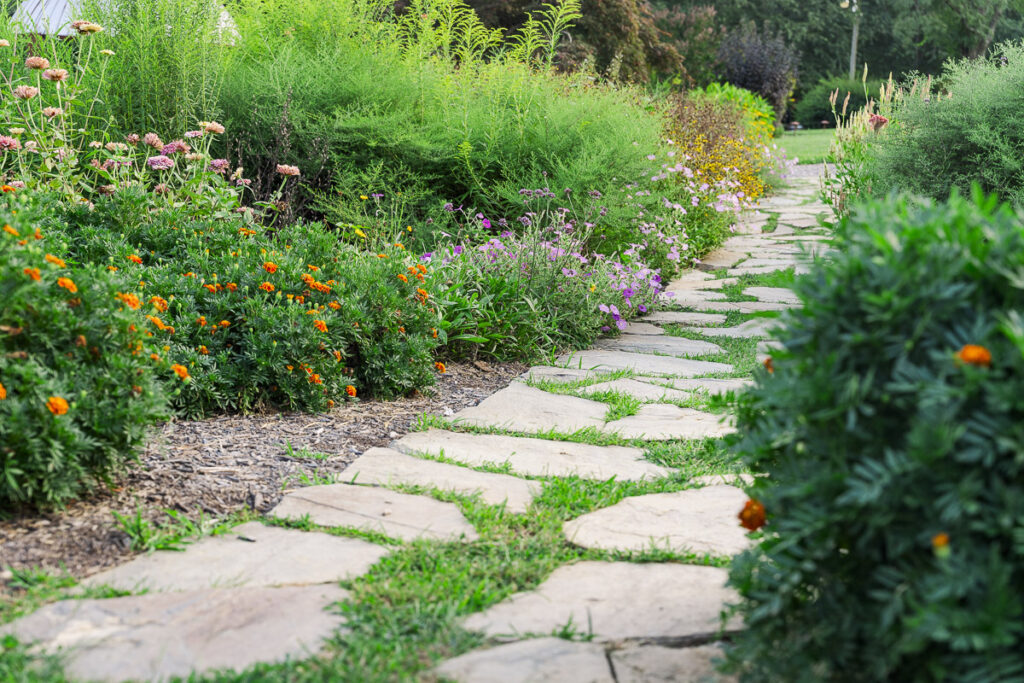butterfly garden and stone path