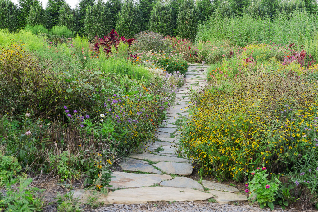 stone path and flower garden