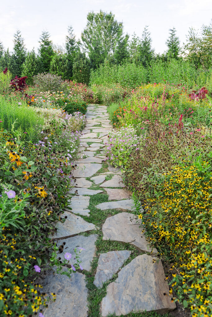 environmental of butterfly garden and stone path